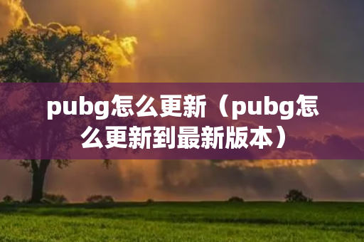 pubg怎么更新（pubg怎么更新到最新版本）