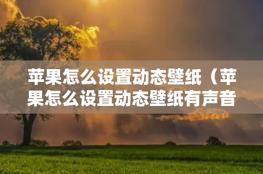 苹果怎么设置动态壁纸（苹果怎么设置动态壁纸有声音的那种）