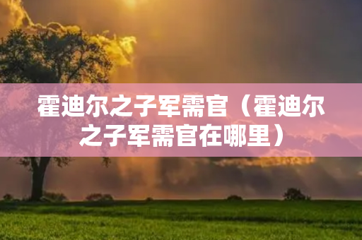 霍迪尔之子军需官（霍迪尔之子军需官在哪里）