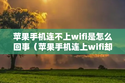 苹果手机连不上wifi是怎么回事（苹果手机连上wifi却上不了网怎么办）