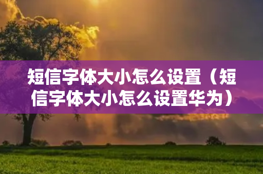 短信字体大小怎么设置（短信字体大小怎么设置华为）