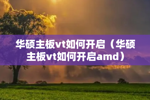 华硕主板vt如何开启（华硕主板vt如何开启amd）