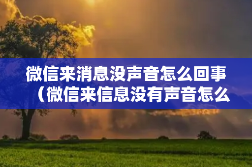 微信来消息没声音怎么回事（微信来信息没有声音怎么回事）