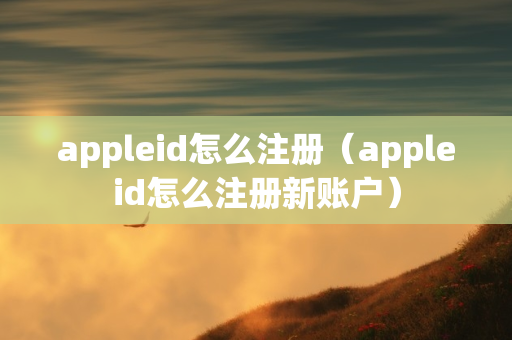 appleid怎么注册（appleid怎么注册新账户）