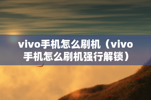 vivo手机怎么刷机（vivo手机怎么刷机强行解锁）