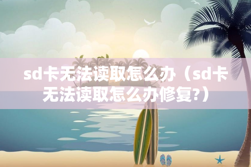 sd卡无法读取怎么办（sd卡无法读取怎么办修复?）