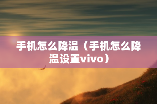 手机怎么降温（手机怎么降温设置vivo）