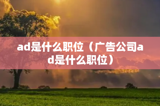 ad是什么职位（广告公司ad是什么职位）