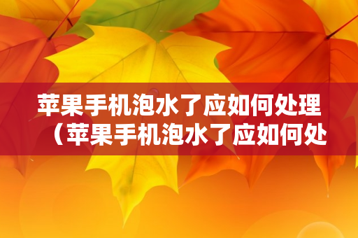 苹果手机泡水了应如何处理（苹果手机泡水了应如何处理掉）