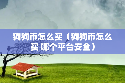 狗狗币怎么买（狗狗币怎么买 哪个平台安全）