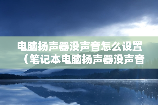 电脑扬声器没声音怎么设置（笔记本电脑扬声器没声音怎么设置）