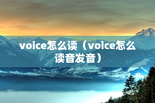 voice怎么读（voice怎么读音发音）