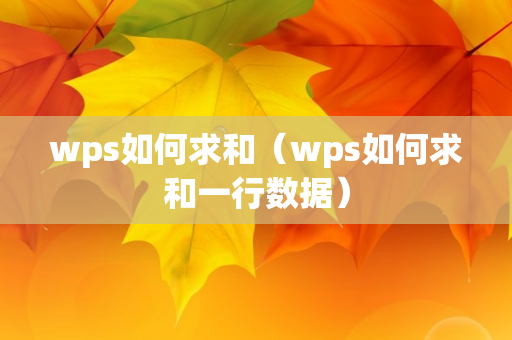 wps如何求和（wps如何求和一行数据）