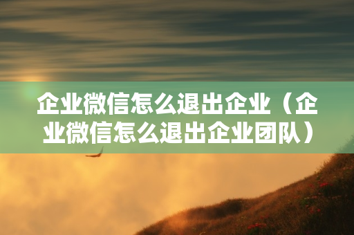 企业微信怎么退出企业（企业微信怎么退出企业团队）