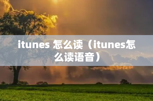 itunes 怎么读（itunes怎么读语音）