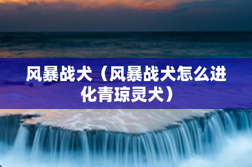 风暴战犬（风暴战犬怎么进化青琼灵犬）