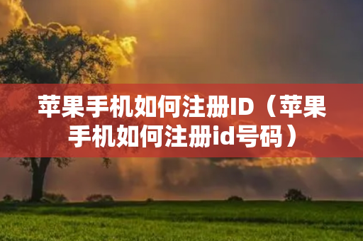 苹果手机如何注册ID（苹果手机如何注册id号码）