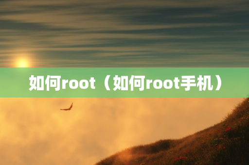 如何root（如何root手机）