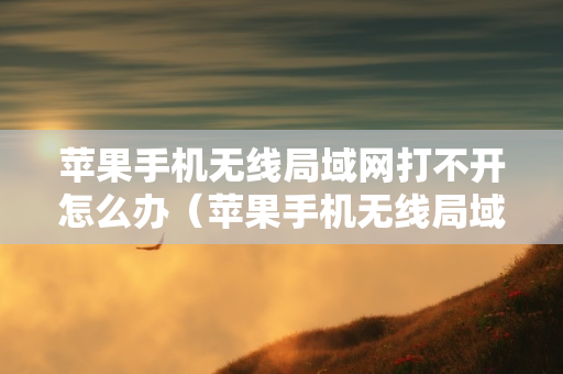 苹果手机无线局域网打不开怎么办（苹果手机无线局域网打不开怎么办还原网络也不行）