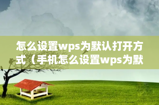 怎么设置wps为默认打开方式（手机怎么设置wps为默认打开方式）