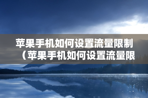 苹果手机如何设置流量限制（苹果手机如何设置流量限制超额）