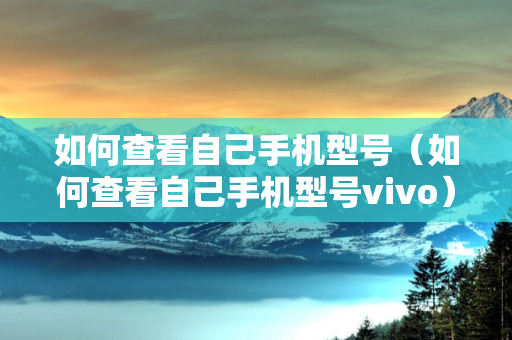 如何查看自己手机型号（如何查看自己手机型号vivo）