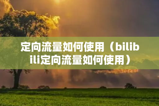 定向流量如何使用（bilibili定向流量如何使用）