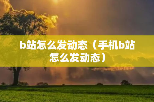 b站怎么发动态（手机b站怎么发动态）