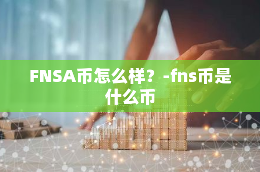 FNSA币怎么样？-fns币是什么币