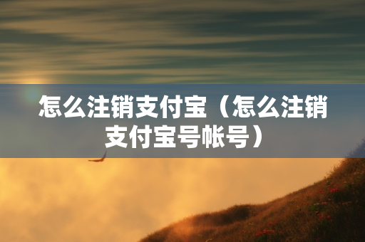 怎么注销支付宝（怎么注销支付宝号帐号）