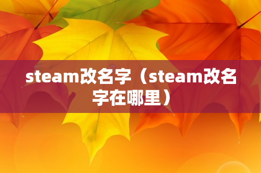 steam改名字（steam改名字在哪里）