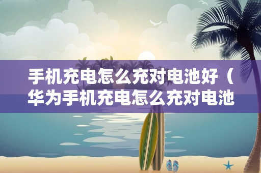 手机充电怎么充对电池好（华为手机充电怎么充对电池好）