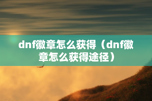 dnf徽章怎么获得（dnf徽章怎么获得途径）