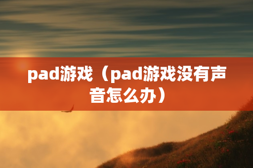 pad游戏（pad游戏没有声音怎么办）