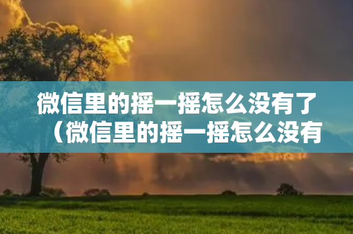 微信里的摇一摇怎么没有了（微信里的摇一摇怎么没有了怎么办）