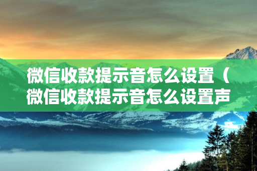 微信收款提示音怎么设置（微信收款提示音怎么设置声音大小）