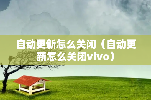 自动更新怎么关闭（自动更新怎么关闭vivo）