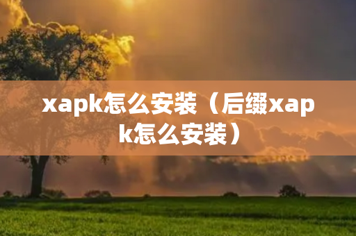 xapk怎么安装（后缀xapk怎么安装）