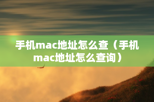 手机mac地址怎么查（手机mac地址怎么查询）