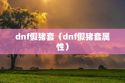 dnf假猪套（dnf假猪套属性）