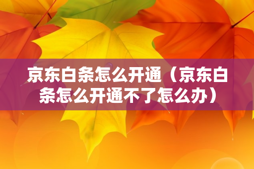 京东白条怎么开通（京东白条怎么开通不了怎么办）