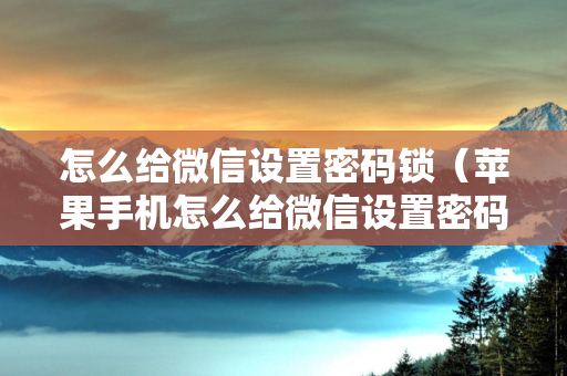 怎么给微信设置密码锁（苹果手机怎么给微信设置密码锁）