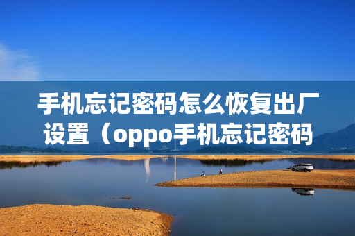 手机忘记密码怎么恢复出厂设置（oppo手机忘记密码怎么恢复出厂设置）