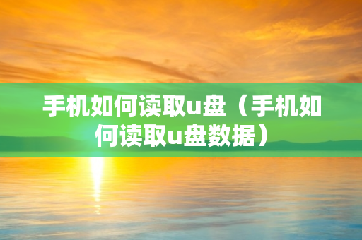 手机如何读取u盘（手机如何读取u盘数据）