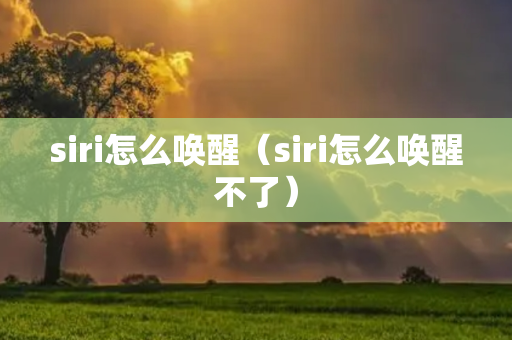 siri怎么唤醒（siri怎么唤醒不了）