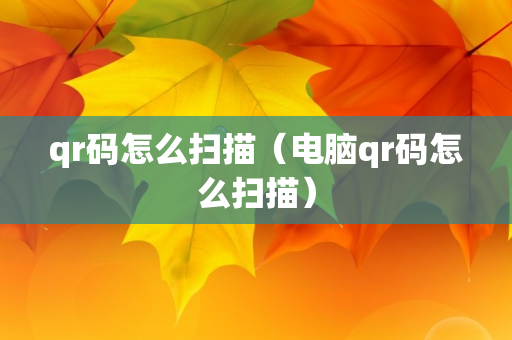 qr码怎么扫描（电脑qr码怎么扫描）