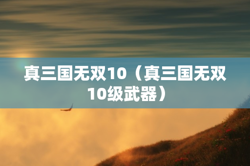 真三国无双10（真三国无双10级武器）