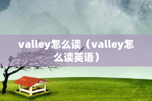 valley怎么读（valley怎么读英语）