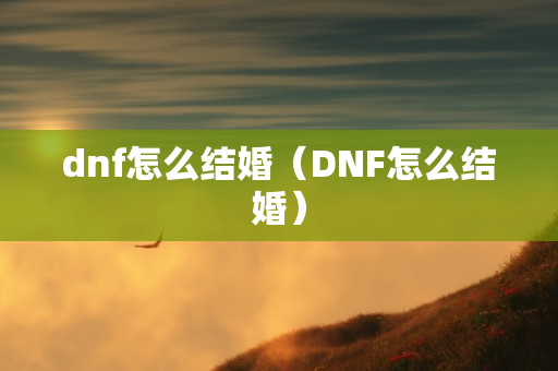 dnf怎么结婚（DNF怎么结婚）