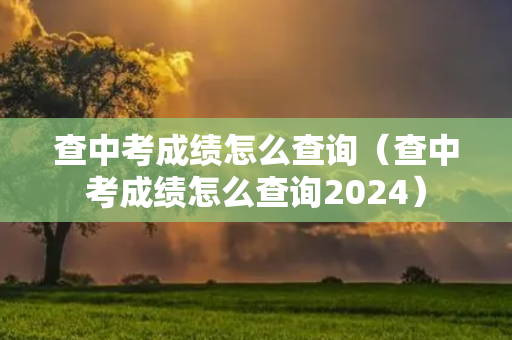 查中考成绩怎么查询（查中考成绩怎么查询2024）